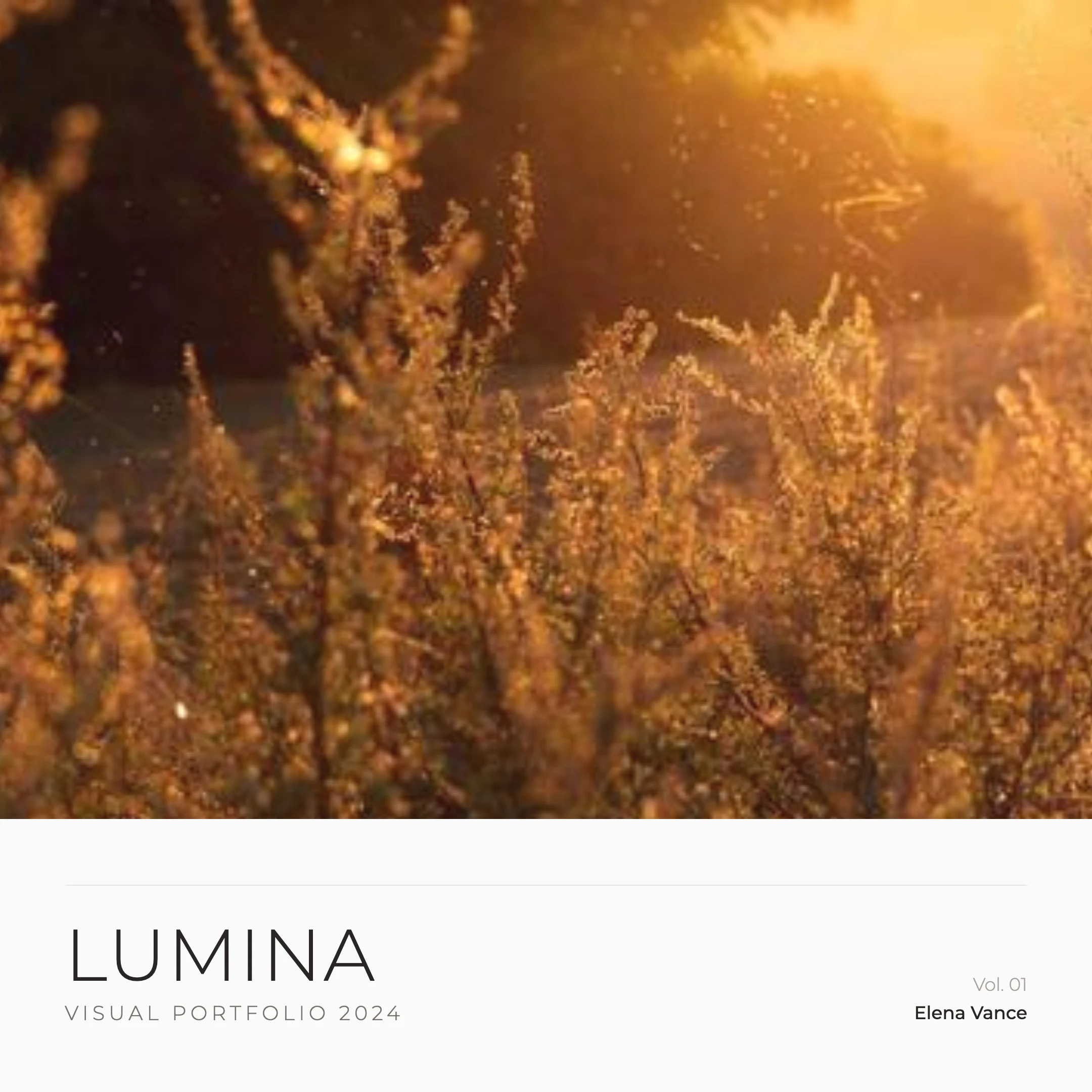 Photo Portfolio: cover