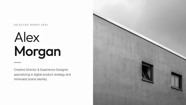 Professional Portfolio
