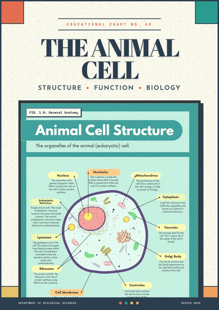 Biology Poster