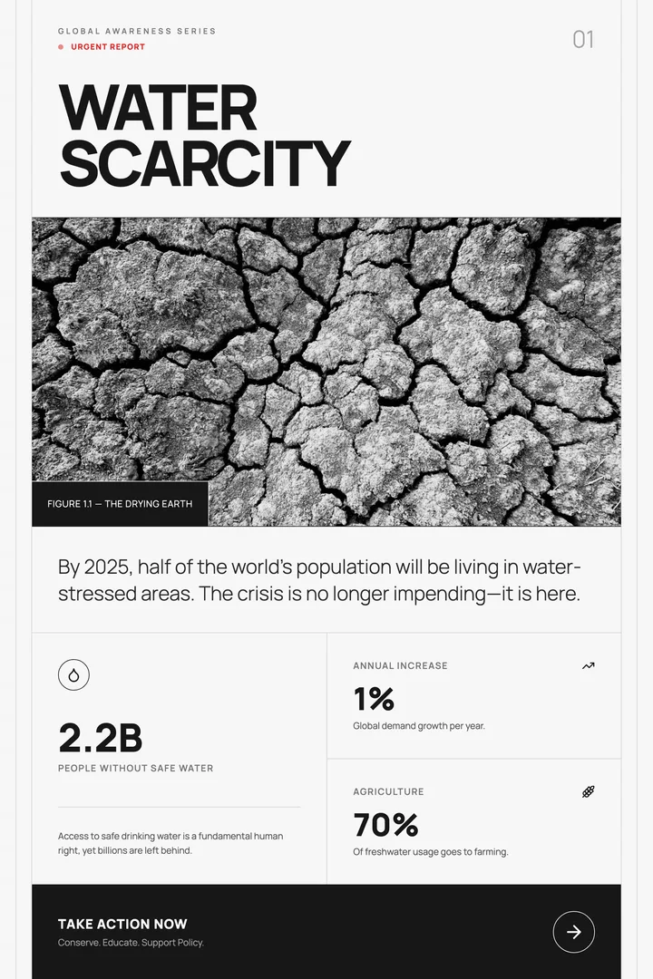 Global Issue