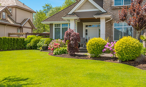 How to Find the Right Lawn Care Service