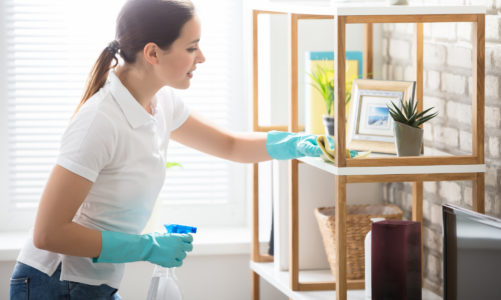 Work Opportunities in the Cleaning Industry