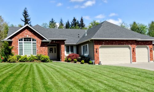 Exploring Lawn Maintenance Options for Seniors