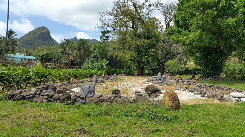 cook island safari tours