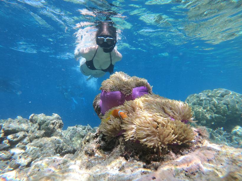 Snorkelling