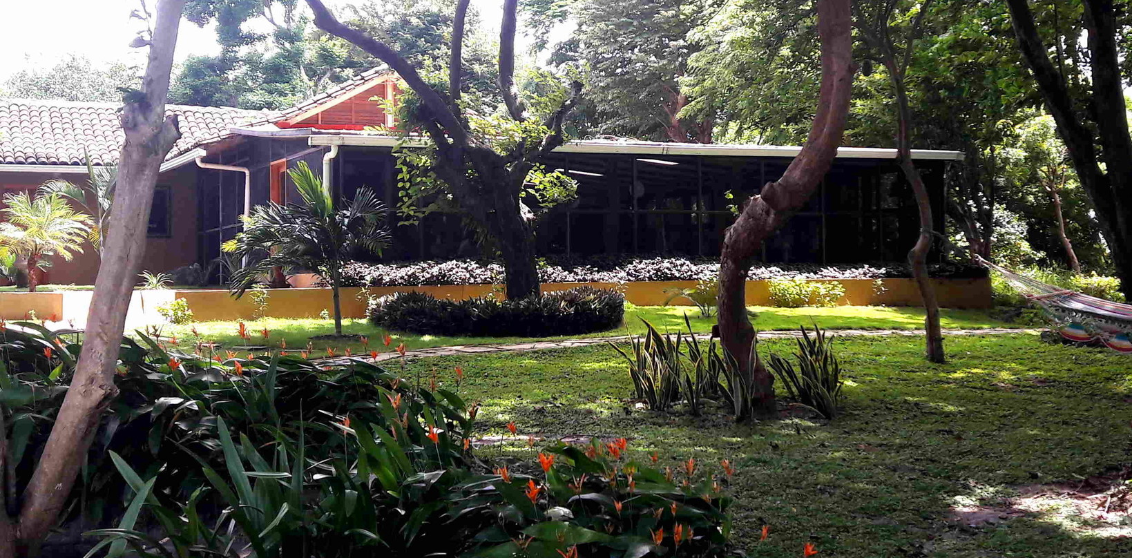 Gardens with hammocks in front of Bar & Restaurant