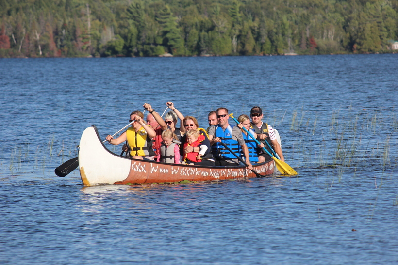 Paddle Ensemble