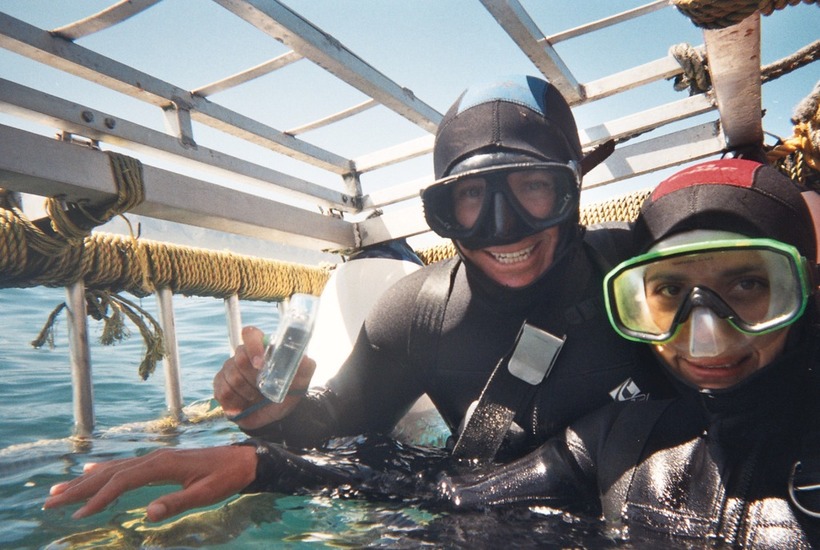 Shark Cage Diving