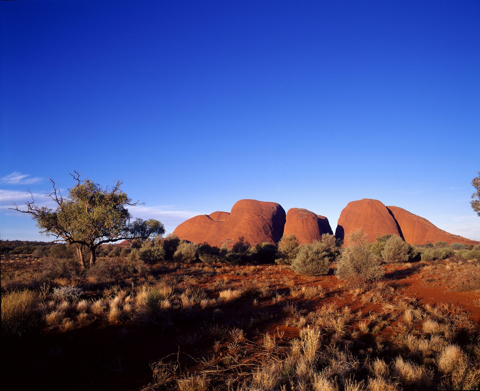 Uluru, Kata Tjuta, Kings Canyon Day Tours