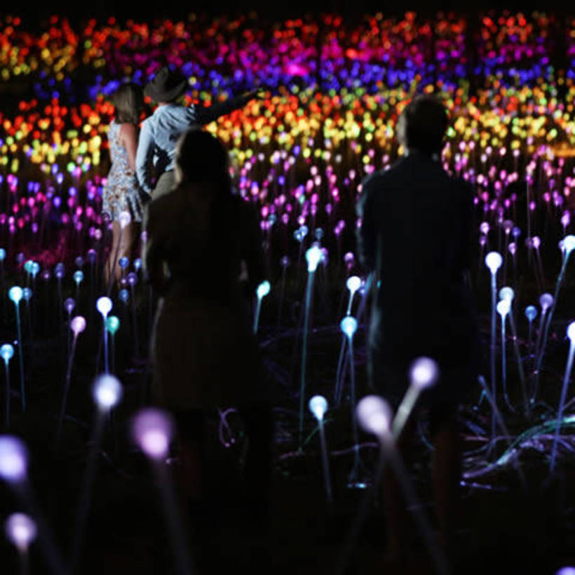 Field of Light Star Pass from $110 AUD