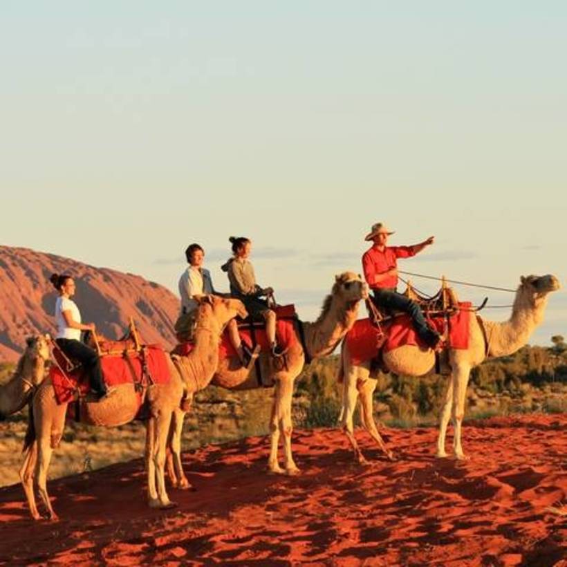 camel tours uluru reviews