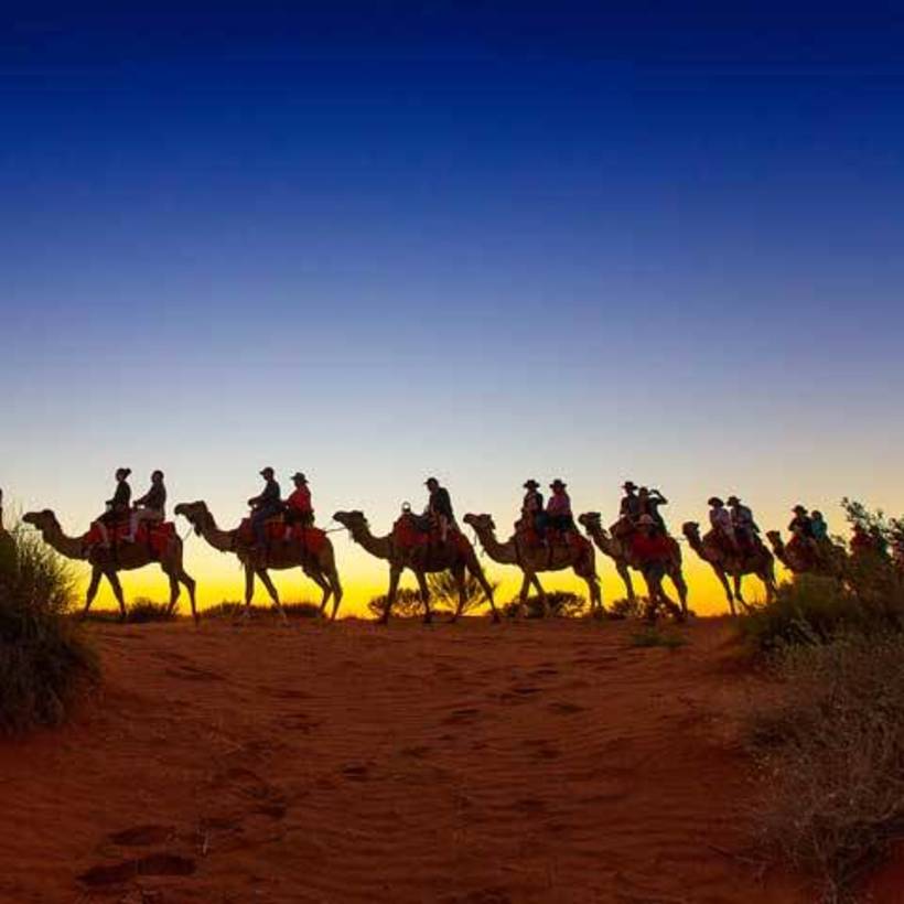 Camel Express from $92