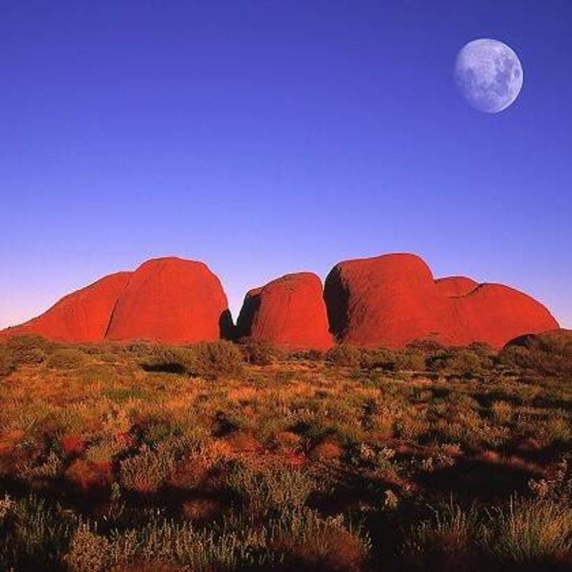 Kata Tjuta (The Olgas) & Kings Canyon Tours