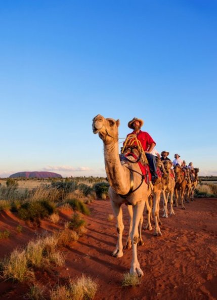 image of people on a camel tour