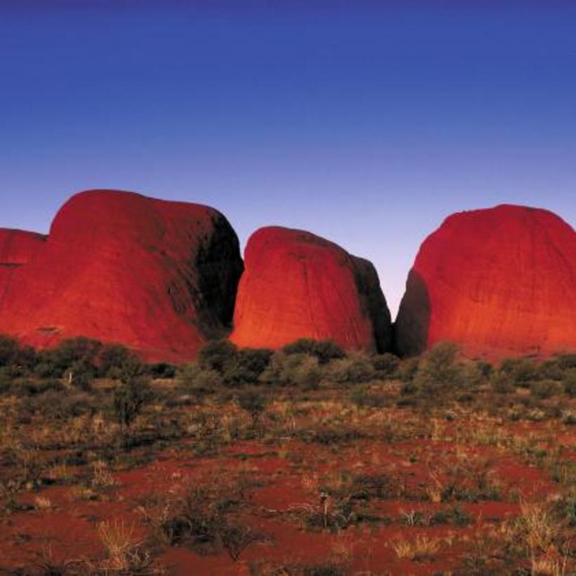 Uluru & Kata Tjuta Day Tours