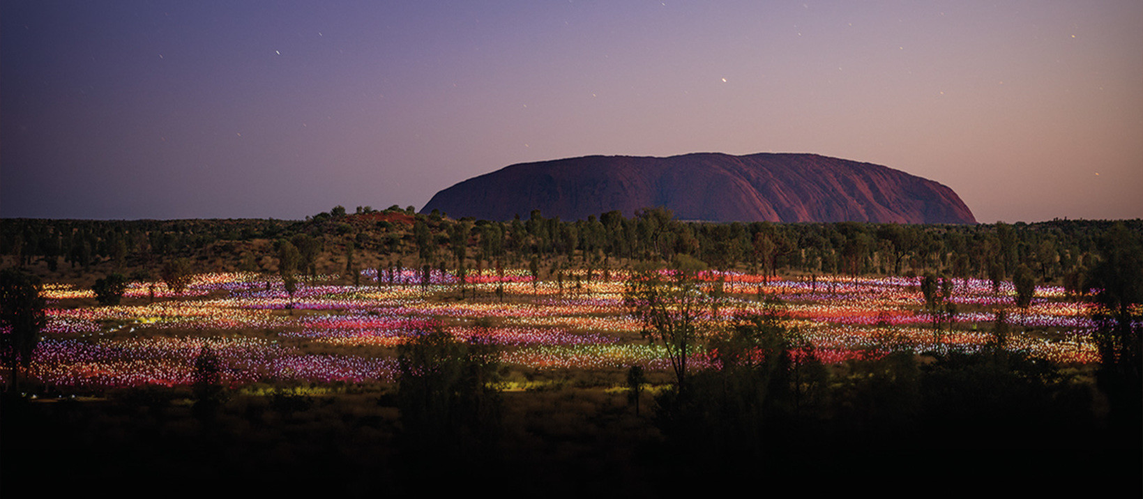 Field of Light