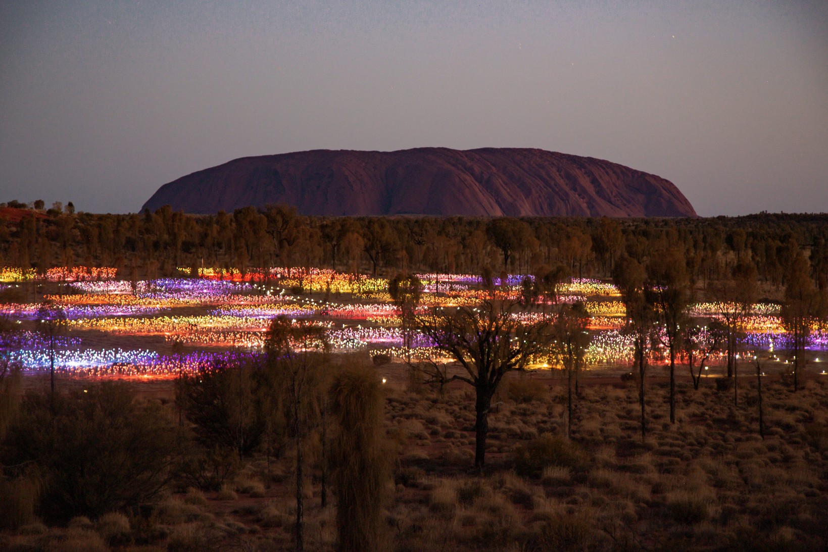 Field of Light