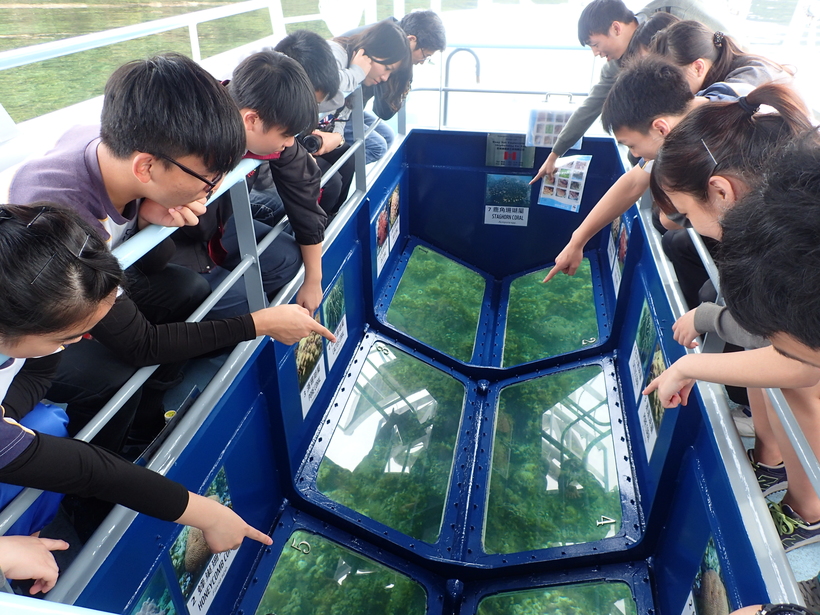 海下灣嘉年華Hoi Ha Wan Festival