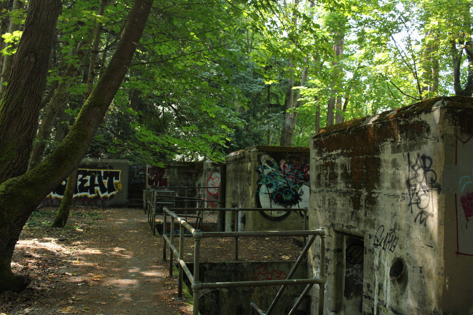 Bainbridge Island has a palpable heartbeat that runs beneath everyday island life.