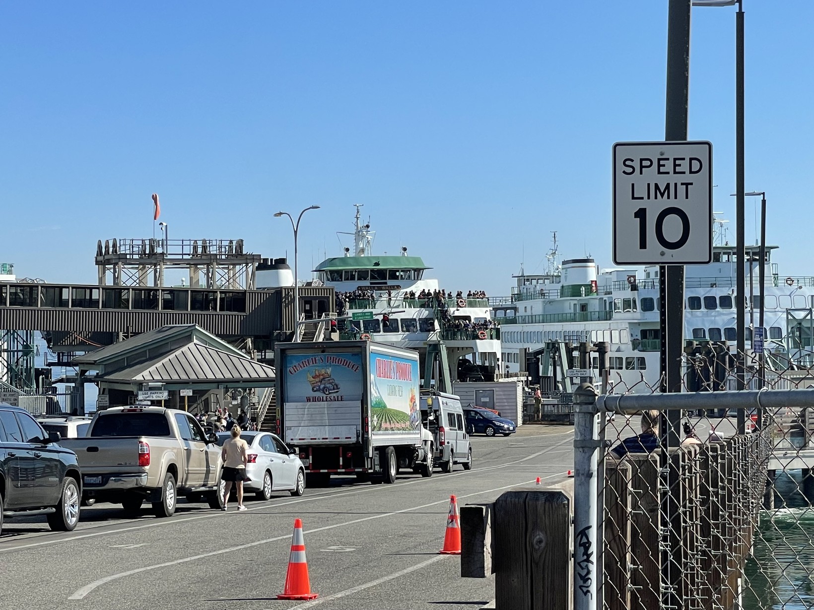 Why you should take a tour with Tour Bainbridge instead of bringing your car on the ferry from Seattle