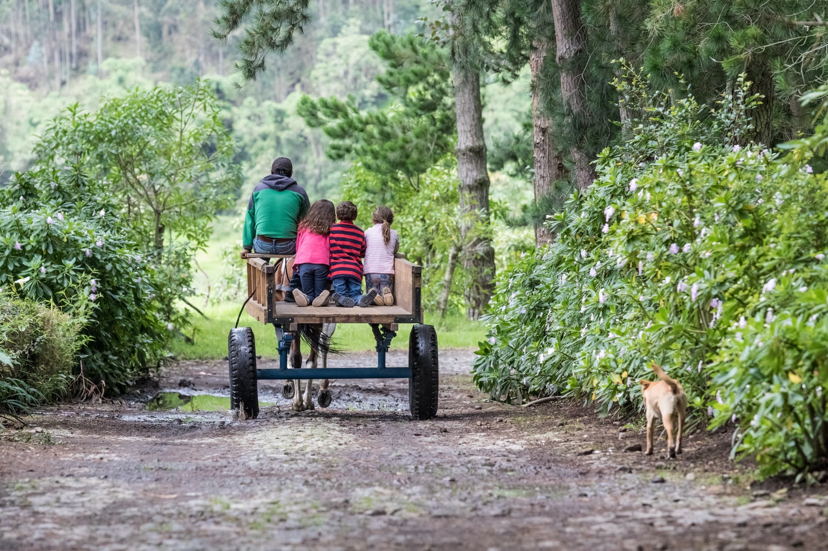 A Hayride! What fun!