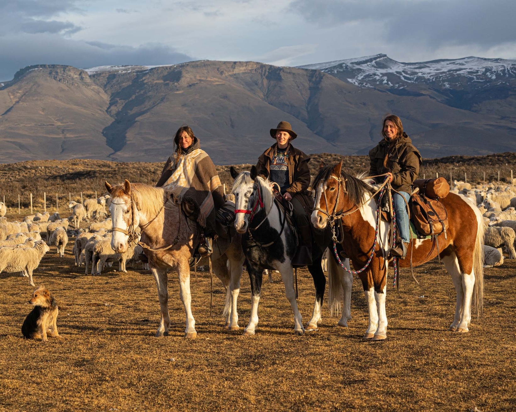 Living with Pumas “The new challenges for  livestock management”