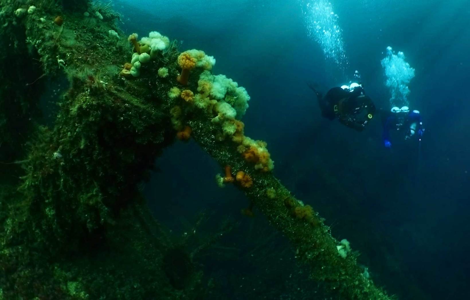 SHIPWRECK DIVING