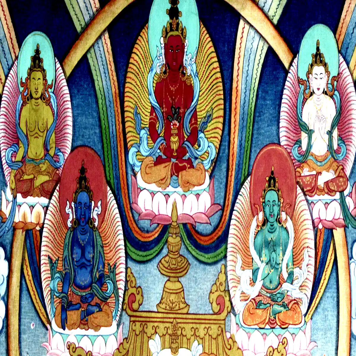 The five pure lights.