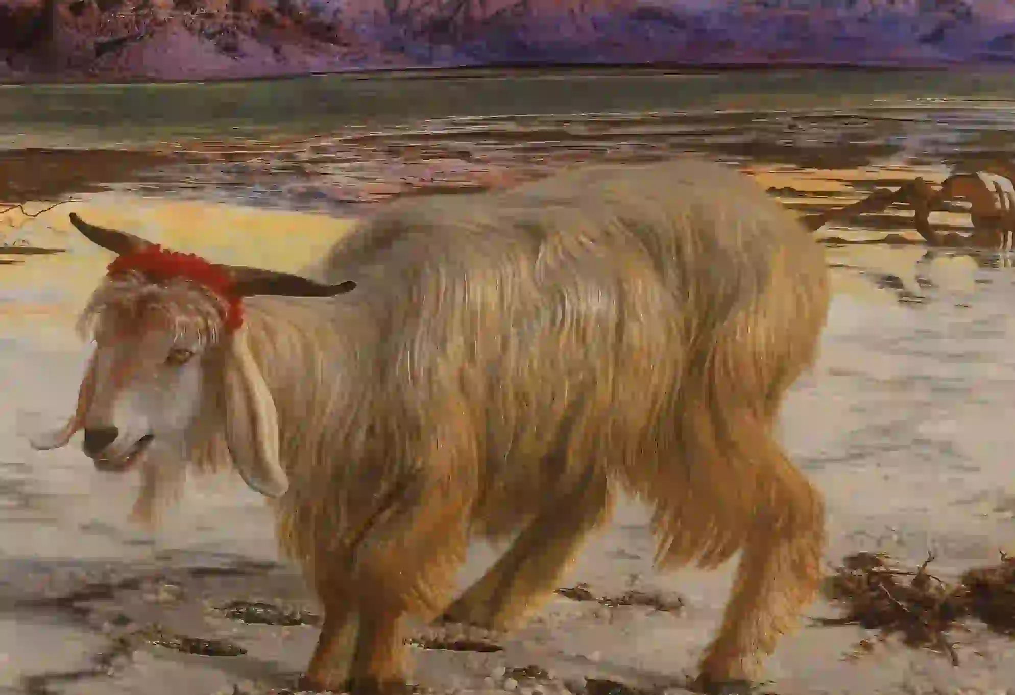 03. Vayikra (va-yikra, meaning He called) or Leviticus. 03. Vayikra (va-yikra, meaning He called) or Leviticus.