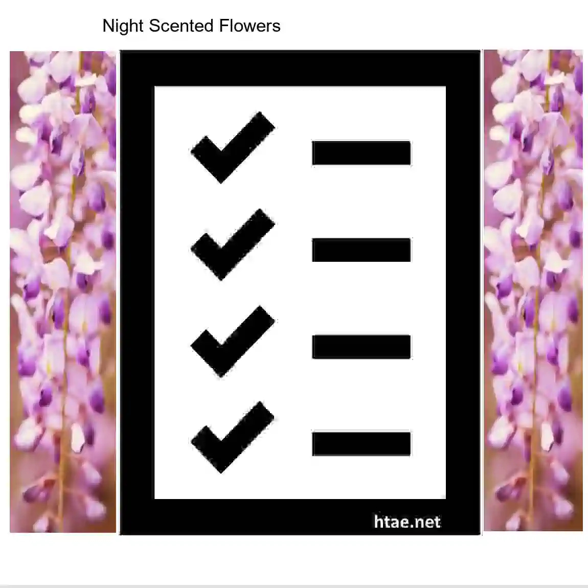 Night Scented Flowers - List