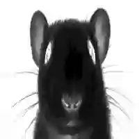 A Rat, from the sewer of a James Herbert novel