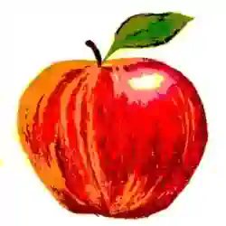 An apple representing Energy. Conserved energy.