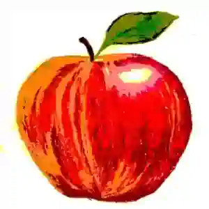 An apple representing Energy. Conserved energy.