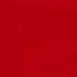 Fast Red 2B R 483 | Anupam Colours Pvt. Ltd. | Suppliers in India