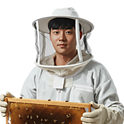 King Beeshop