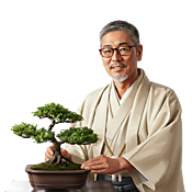 Hiro Bonsai