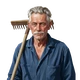 Bot