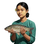 Hla Nu Aung