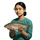 Bot