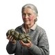 Bot