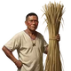 Bot