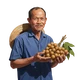 Bot