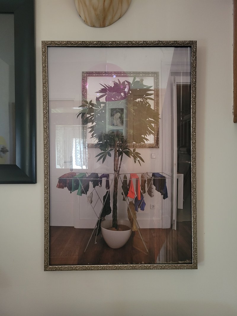 A photo of a framed photo on the wall. A tall potted plant is humorously placed so that it looks like it’s growing out of a drying rack, with lots of wet laundry hanging off it. / Una foto de una fotografía enmarcada en la pared. Con humor, una planta alta en maceta está colocada de modo que parece que está creciendo de un tendedero, con mucha ropa mojada colgando de ella.