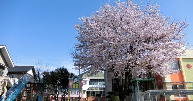 認定こども園たいようのこ