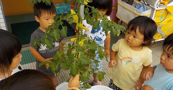 認定こども園ひばりっ子クラブ