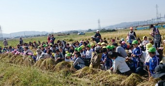 認定美里・柿の実こども園