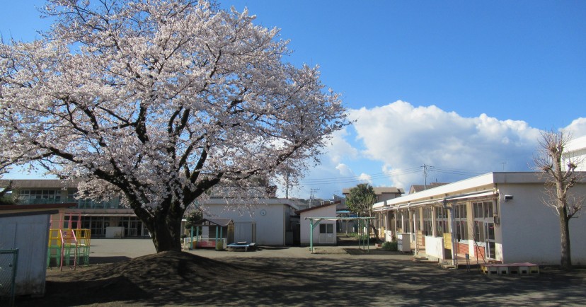 秦野市立西幼稚園