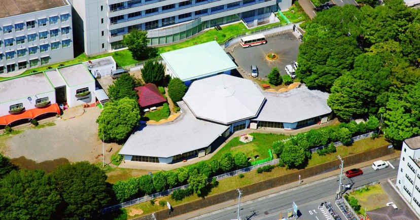 認定こども園東海大学付属本田記念幼稚園