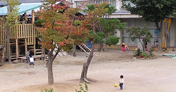 龍華保育園