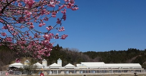 山岡こども園